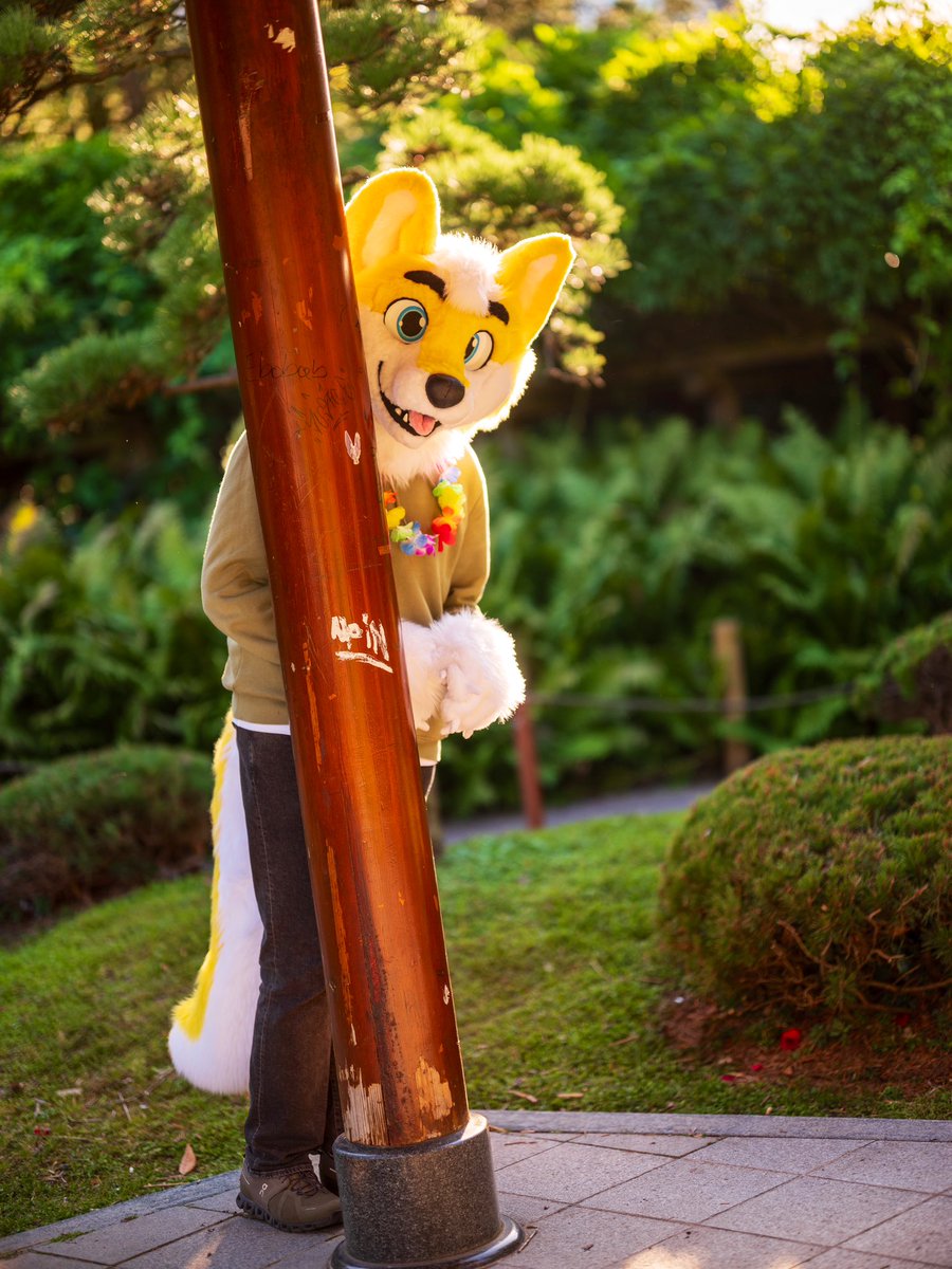 a little shy 🥺
 
📸 <a href="/CaptainChaotika/">🌻 混沌的隊長 ➡️ AFC</a>