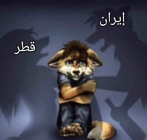 FREEDOM FIGHTER (@revo_voice) on Twitter photo 