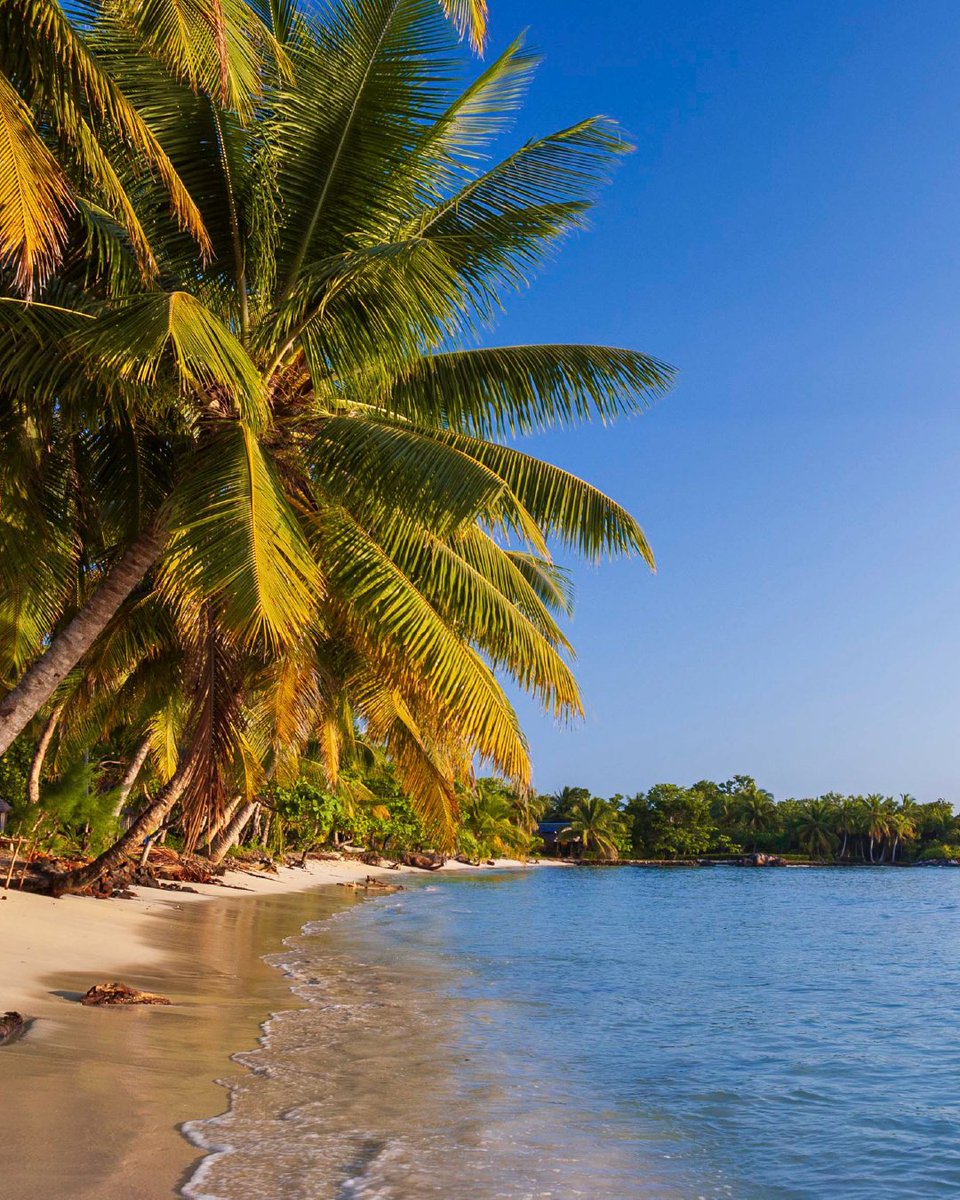 MSCCruzeiros's tweet photo. Passando por Madagascar a bordo do #MSCOpera: prepare-se para se encantar com a natureza exuberante dessa ilha que é um dos destinos mais fascinantes do Oceano Índico. Uma experiência que vai além de qualquer expectativa! 🌍 Saiba mais: https://t.co/gOpb1XZkzU https://t.co/COz64GUTJw