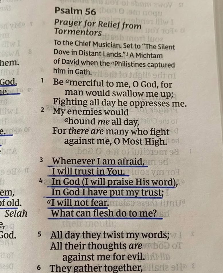 Psalm 56:3-4