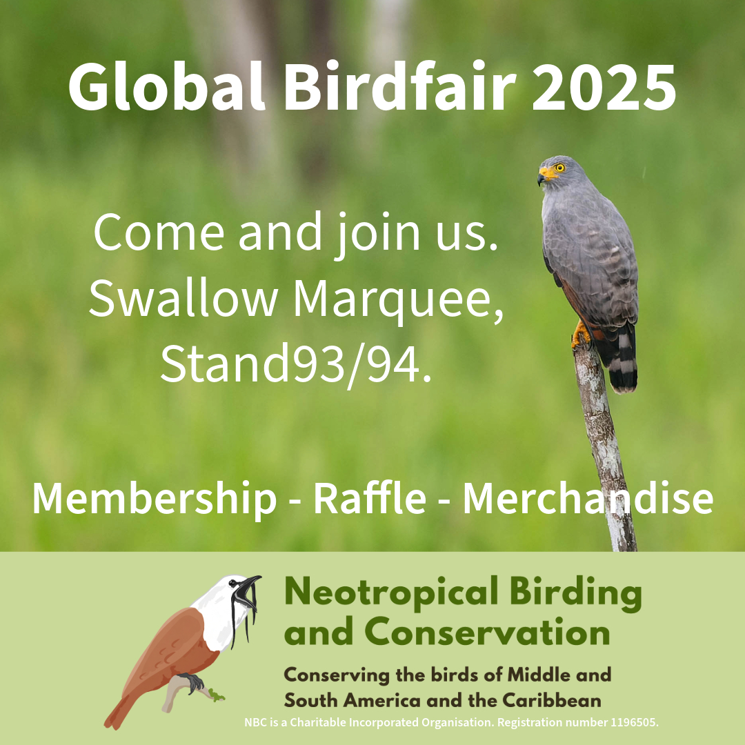 Coming to Birdfair this wek-end? Come and say hello, members can collect their new copies of 'Neotropical Birding' and 'Cotinga'.