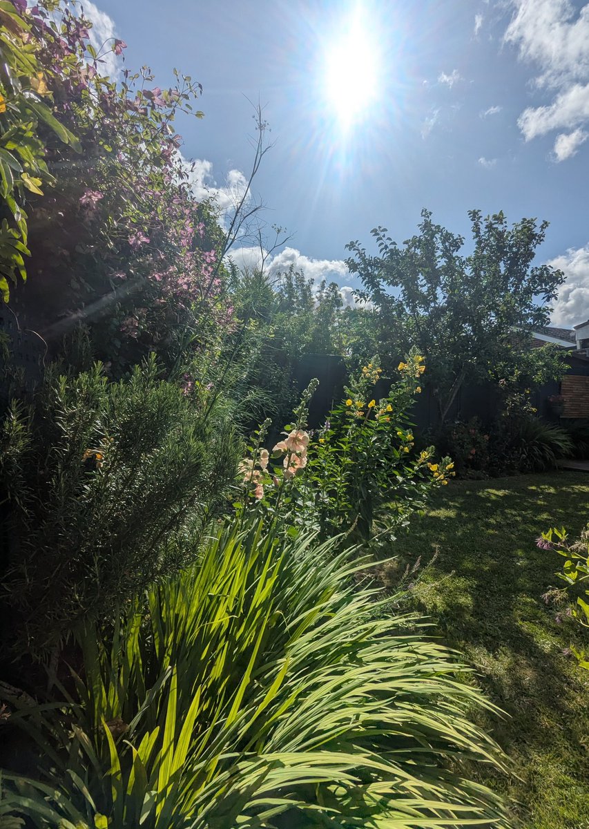 My favourite morning coffee spot! 
☀️ 🌿👋😌☕🌿
#GardensHour #summer