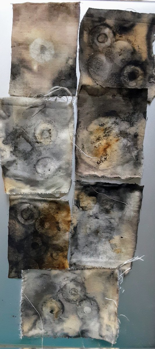 jeantoms26's tweet image. Evening All , A mixed bag from me this week #mycreativeweek,  #firecrest #rustyprinting, #mixedmedia #wildmoor