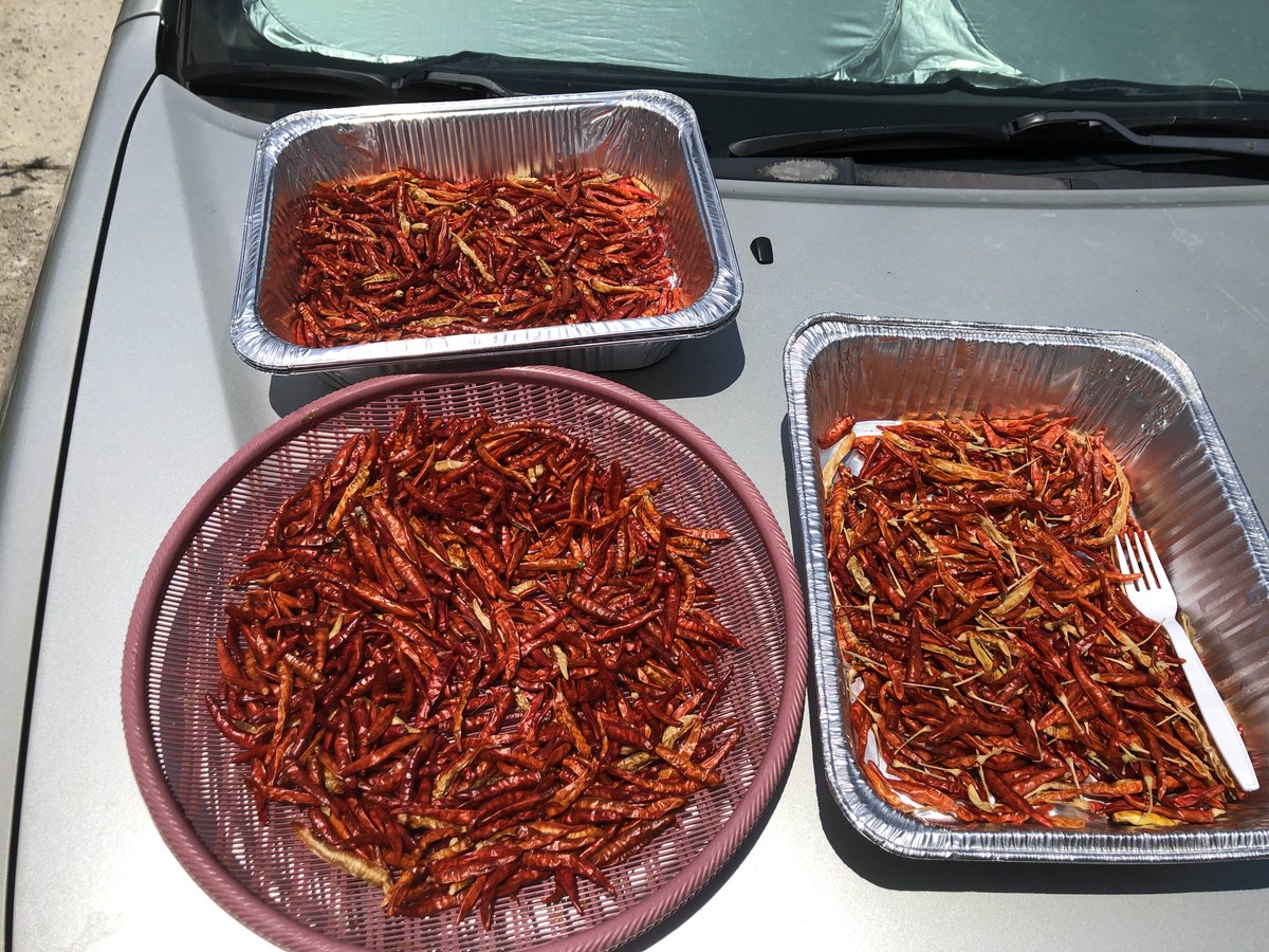 anOwlette (@an_owlette) on Twitter photo 