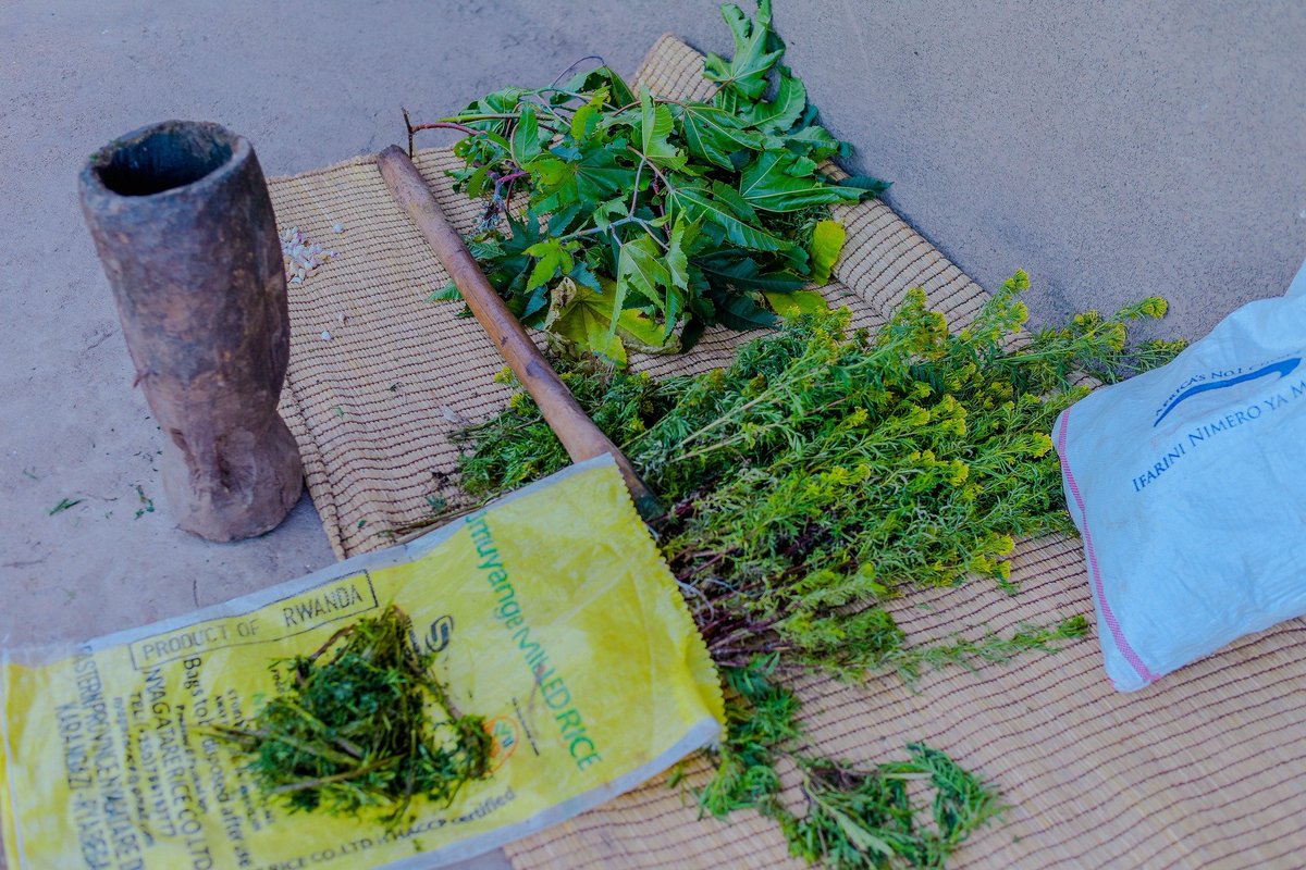 🌱 New on the #KCOA blog!
How can strawberry farmers ditch synthetics&amp;protect crops naturally?
Discover how local plants are powering farmer-made organic pesticides for safer, healthier farming.🍓

📖 Read: kcoa-africa.org/how-can-farmer…

#OrganicFarming #Agroecology