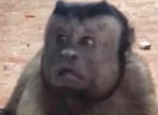 أسمـاء tweet media