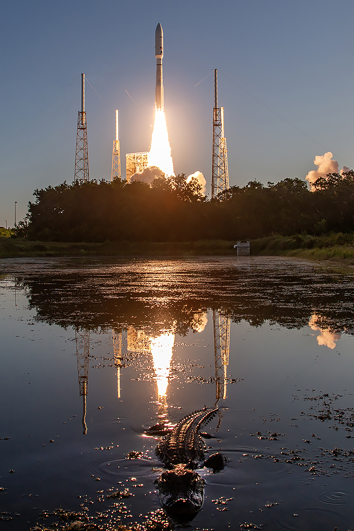 Rocket &amp; alligator (<a href="/ulalaunch/">ULA</a> photo)
