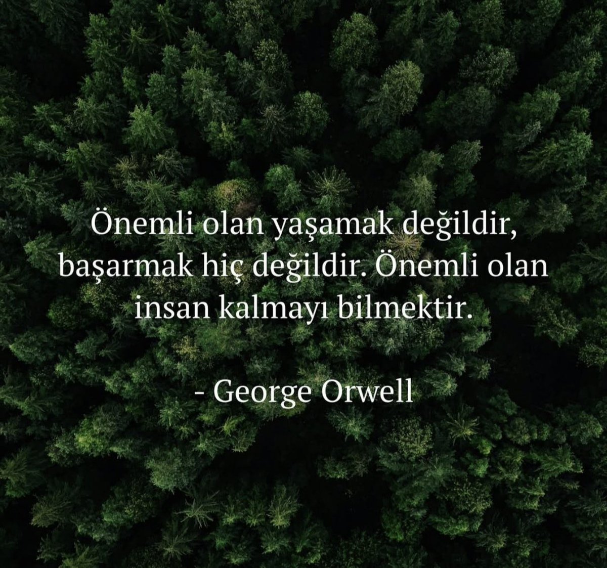 KavakOrhan's tweet photo. https://t.co/wywKLbTALx