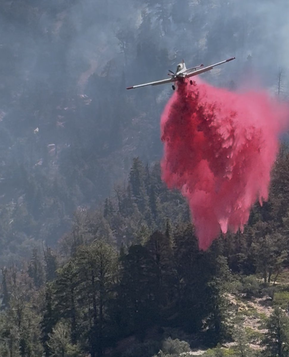 France Canyon Fire Update

"The France Canyon Fire continues to grow with tactical operations underway to protect local communities and infrastructure in Southern Utah...."

#suindependent #DixieNationalForest #emergencyresponse #fireclosures
suindependent.com/france-canyon-…