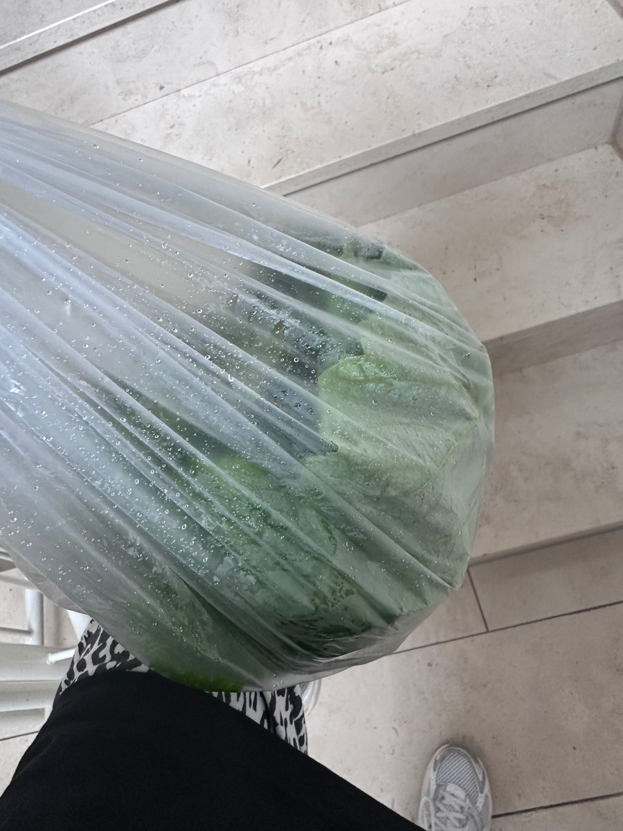 Arkadaş aradı gel yaprak topla diye sonra diğer arkadaş aradı Erik topla diye
Çok şanslıyım lan ben 😀