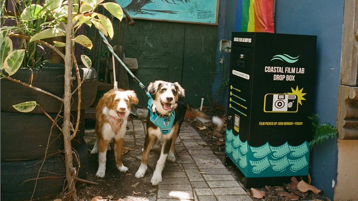 Coastal Film Lab installs new film drop box at popular St. Pete coffee shop >> l8r.it/P3KD