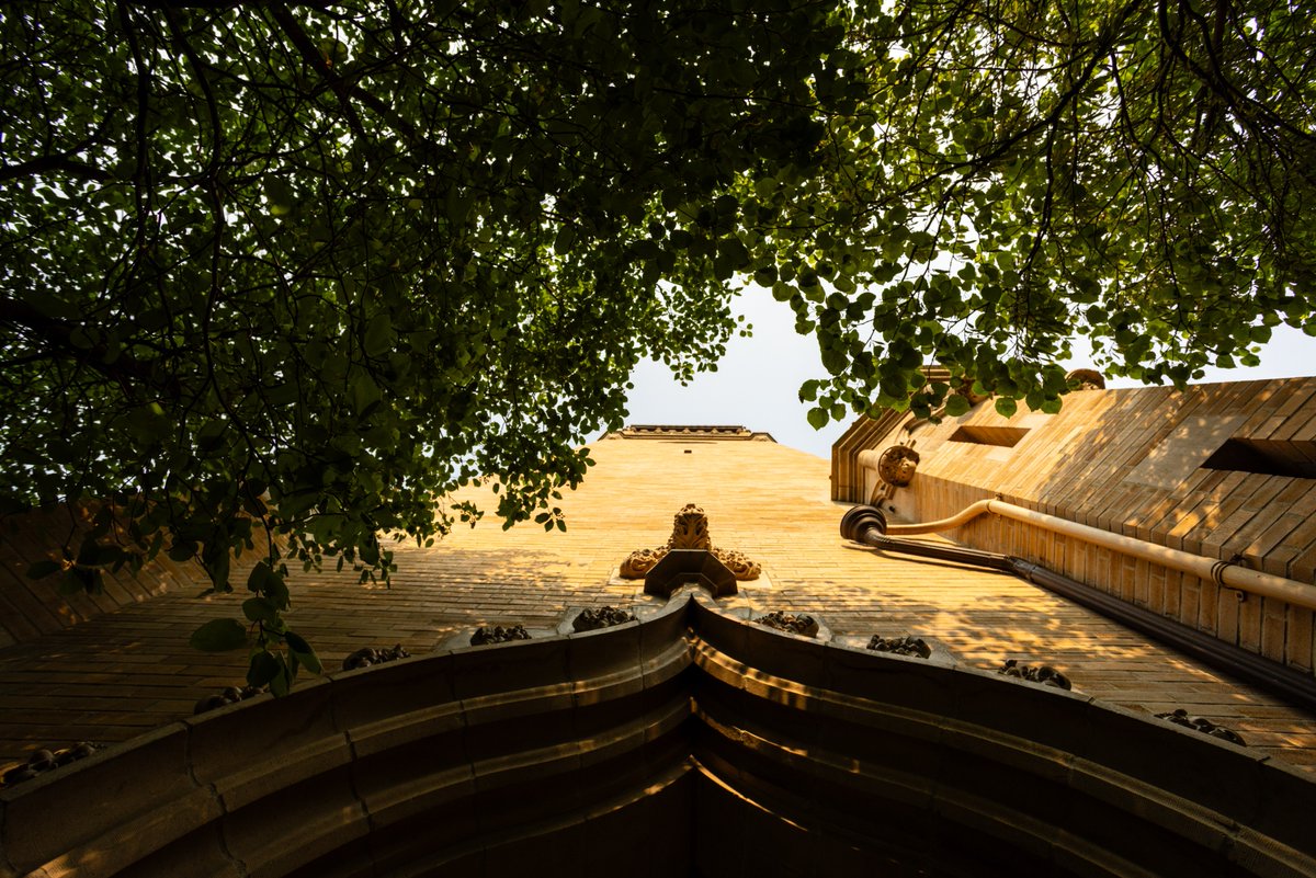 A new view of an Iowa State icon. 👀 Can you guess the campus landmark?

Hint: you may have heard its music while walking to class! 🔔