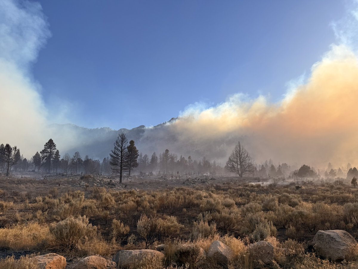 Forsyth Fire Update

"The Forsyth Fire near Pine Valley, Utah has grown to 7,045 acres with 0% containment...."

#suindependent #evacuationorders #FireSafety #fireupdate #ForsythFire #GreatBasinComplex #PineValley #Utahfirenews #Utahwildfires
suindependent.com/forsyth-fire-u…