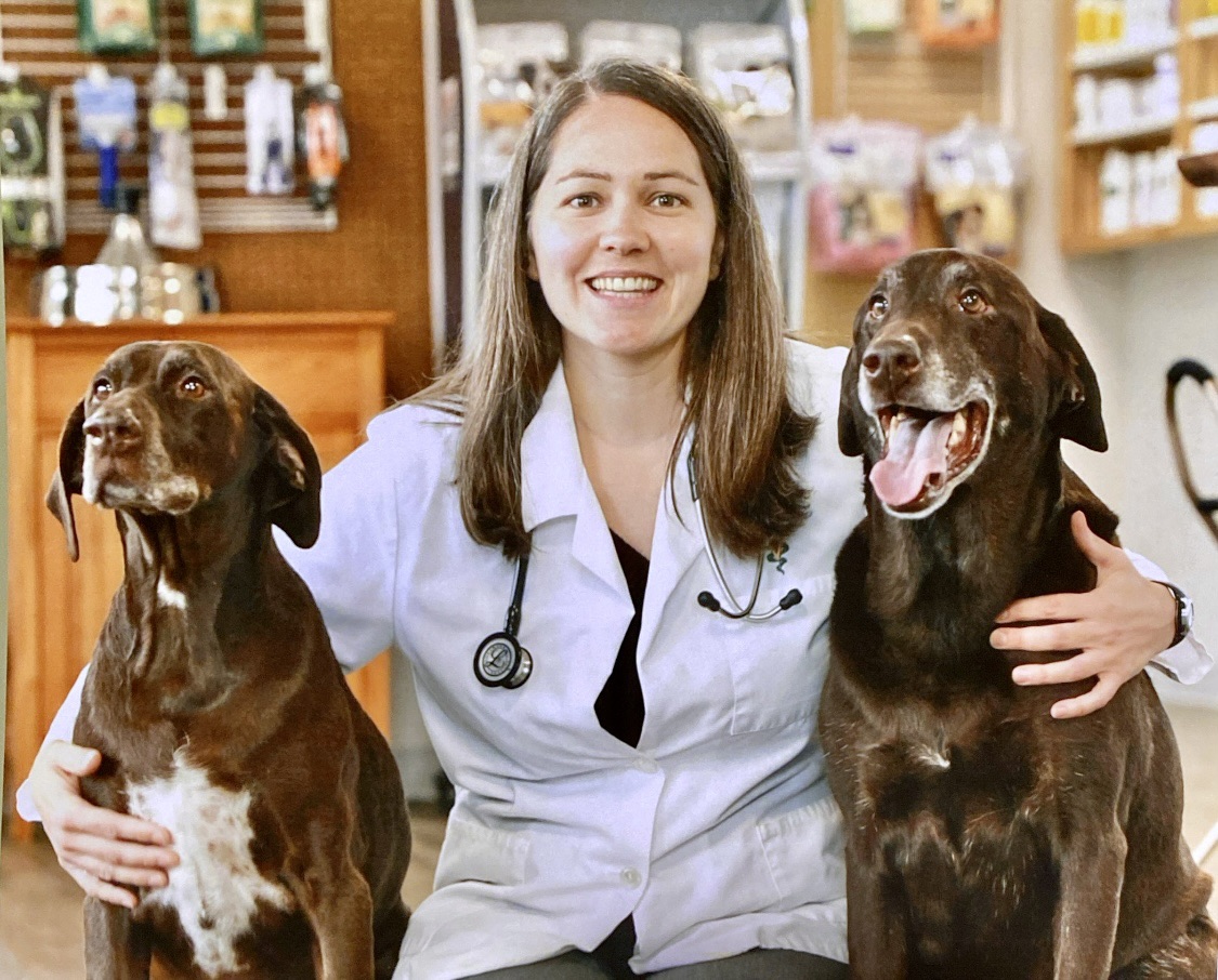 Nova is a puppy who needed help for foxtails embedded in her skin. Please donate if you can; share no matter what ♥️ #dogs   Please share, support, or donate—every small action counts. gofund.me/cc64541e