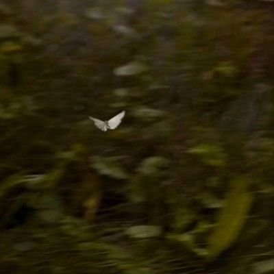 الفزعة مع حساب الأخ
محب النبي
<a href="/bas_wzyr76/">محب النبي</a>
 فحسابه مقيد ولا تنسوا ما تتابعوه..