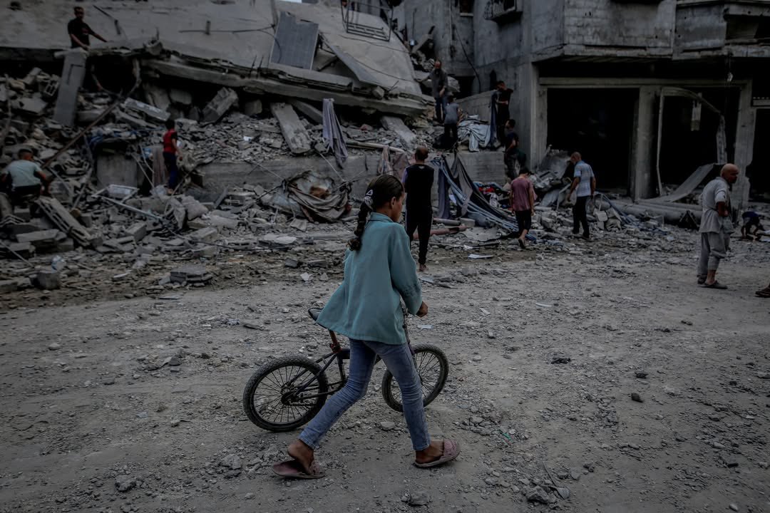 Timesofgaza's tweet photo. Gaza. https://t.co/TfQzHBm45i