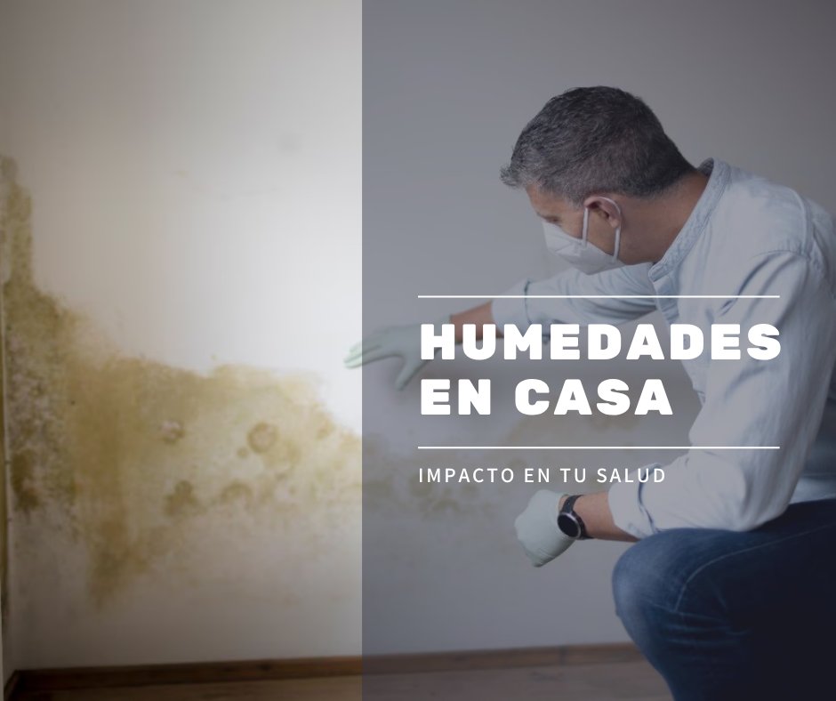 Las #humedades no es solo un problema de habitabilidad, también favorecen la proliferación de #moho, cuyas esporas actúan como desencadenantes de crisis respiratorias y agravan las #enfermedades respiratorias crónicas.
Cuida de los tuyos, elimínalas.
