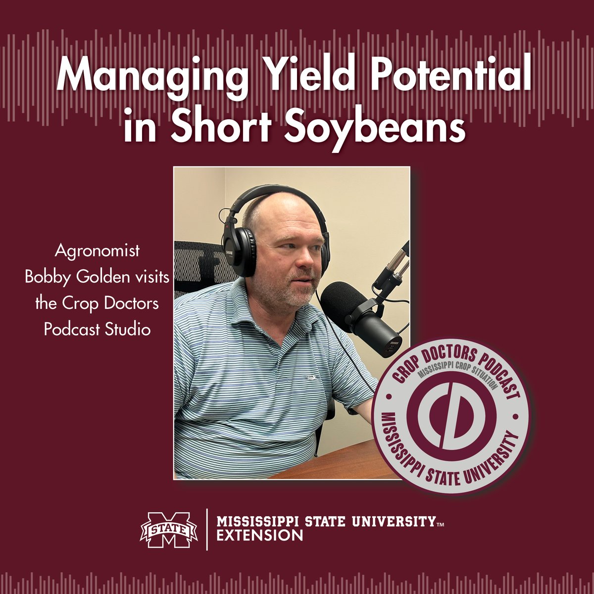 Bobby Golden digs into the case of short soybean plants and what it really means for yield potential. 
For more episodes from the Crop Doctors, visit our website at extension.msstate.edu/shows/mississi…
#mscrops #MSUext