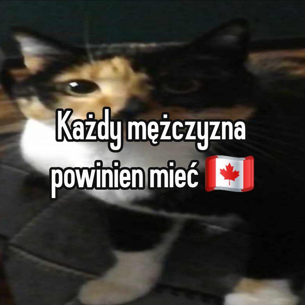 EFX (@mphtlssmrdrmchn) on Twitter photo 