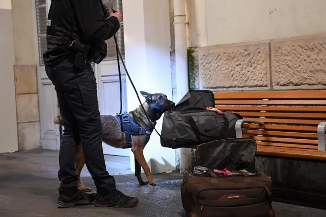 "Il se diversifie, il vend désormais de la cocaïne" : un dealer récidiviste condamné à #Auxerre
&gt;&gt;lyonne.fr/auxerre-89000/…
