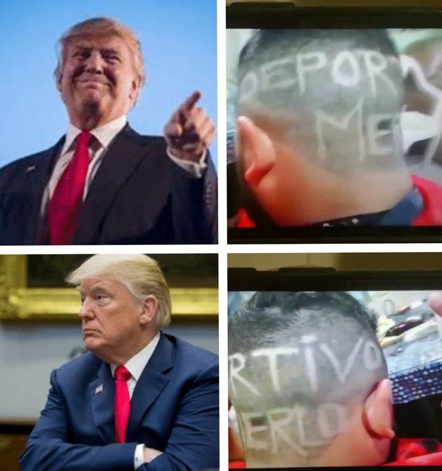 El Trumpista (@eltrumpista) on Twitter photo 