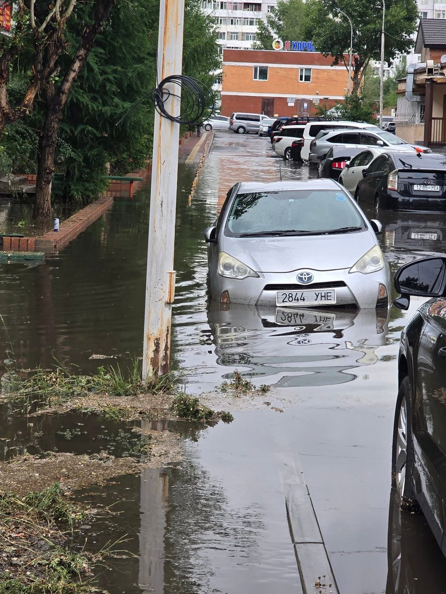 Бороо орох тоолонд усанд автдагаа ноднин үзсэн,уржнан харсан.Яг түүнээ шийдэх нэг ч алхам хийсэнгүй,ямар ч асуудалгүй боржуураа солин тоос манаргаж,яагаад ч бүтэхгүй метро ярин хөөс сахруулав.Зөв амьдрах ухаанаа олчих юмсан,зүгээр л асуудлаа шийддэг төртэй болчих юмсаан,хэдүүлээ.
