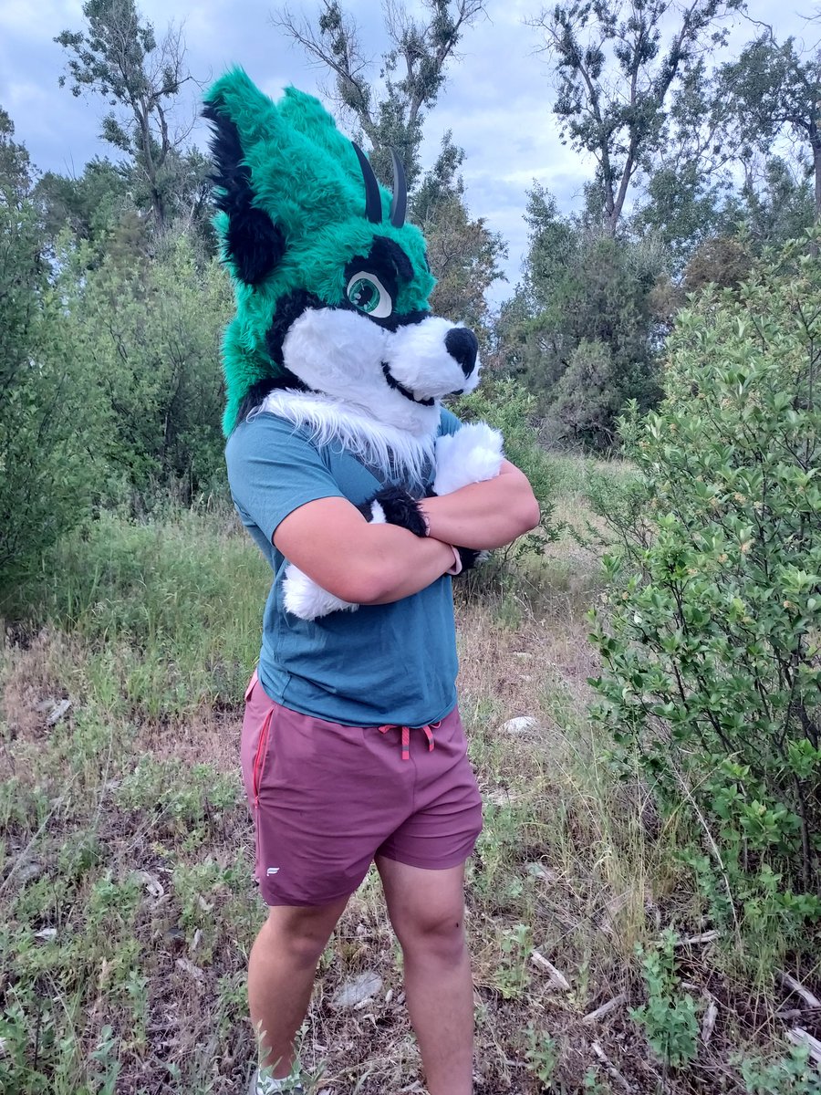 Aces406's tweet photo. Hello everyone! 
Ace's suit head and paws have been completed! Thank you so much @RhaeMurrz for the suit and I am excited to see where he goes as a fursuit maker in the fandom! 

This was his furst suit he has made and will continue to work and open commissions in the future! https://t.co/VmRGM4pGso