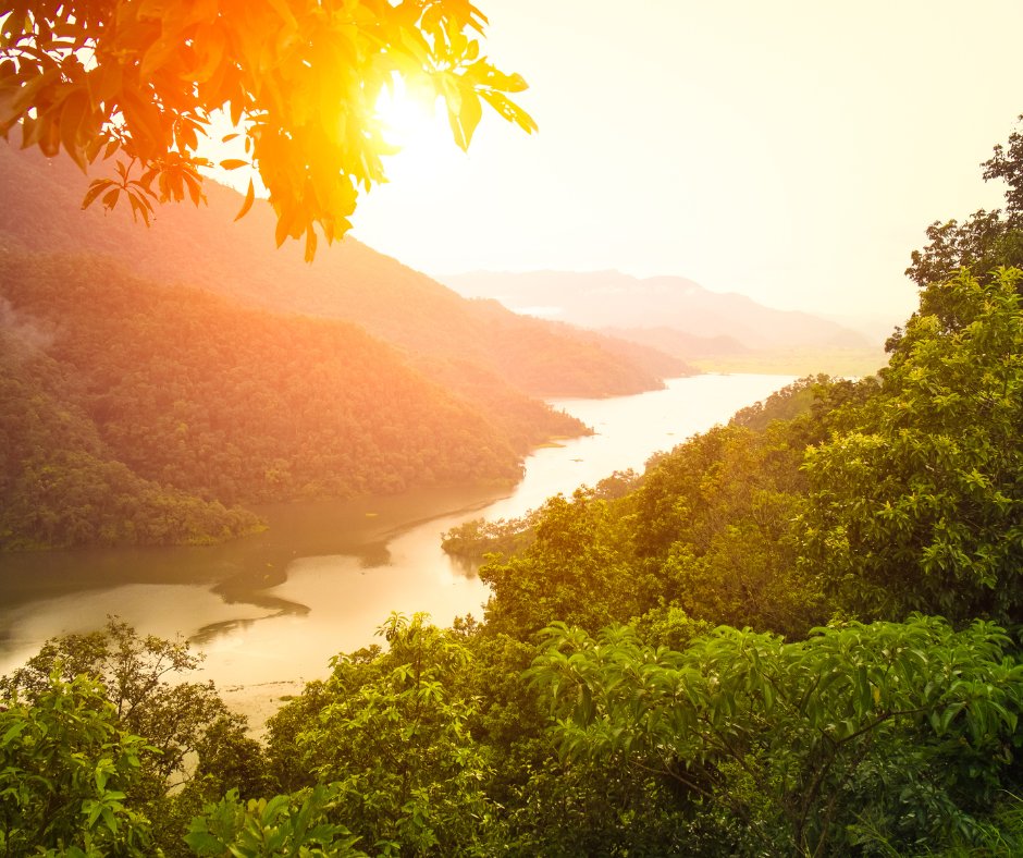 All of life is energy. And we, that is all humans—along with everything else…plants, animals, stones, mountains, planets, suns, stars, clouds, winds, you name it—are energy projectors. We are made of energy, we are absorbing energy, &amp; we are projecting energy in every moment.