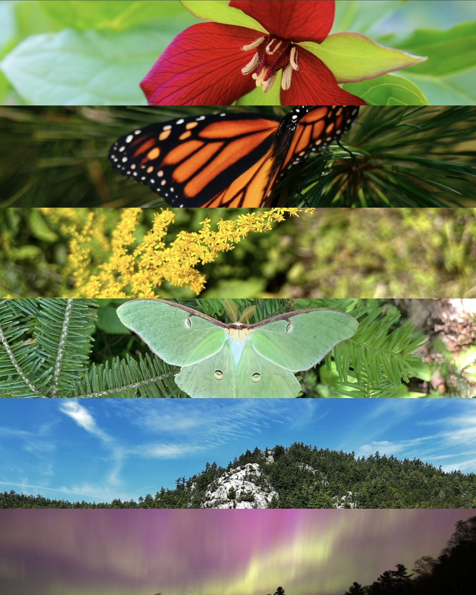 From every plant, landscape and animal, to every visitor. We recognize that just as nature thrives through variety, so do we. Here at Killarney, everyone is welcome at our park, and we strive to create a place where everyone can truly be themselves. 

Happy pride month! 🏳️‍🌈🏳️‍⚧️