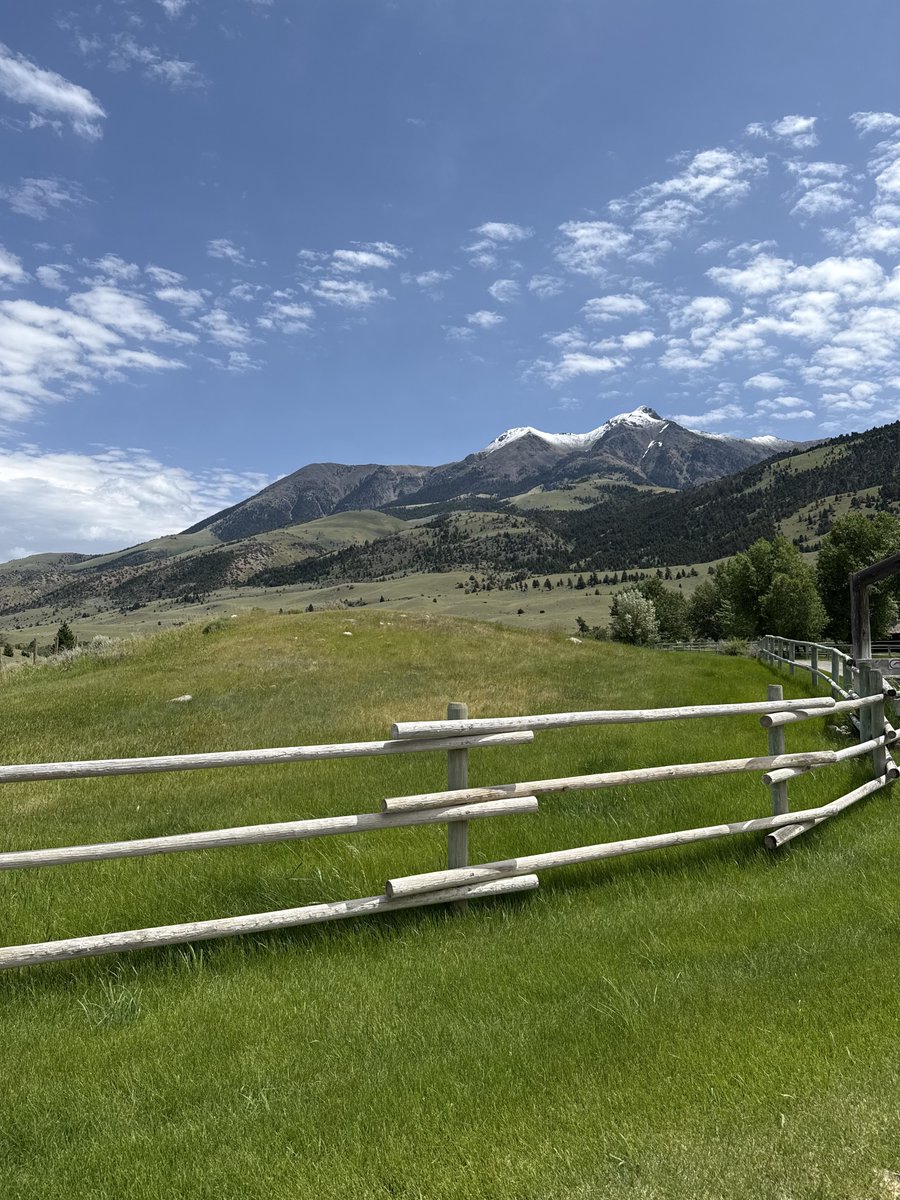 Uncertainty can be very debilitating and I have found myself sometimes mentally paralyzed by the unknown. I have found my only way out of those mental blocks is through gratitude and prayer and doing one step forward. What I am certain of is I can’t pray and worry at the same