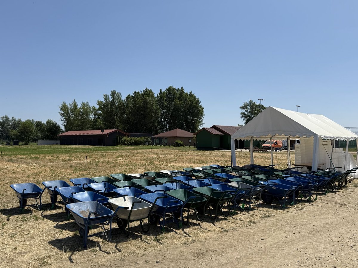 Blueberry 🫐 season ✅ at VAHALI FARM
