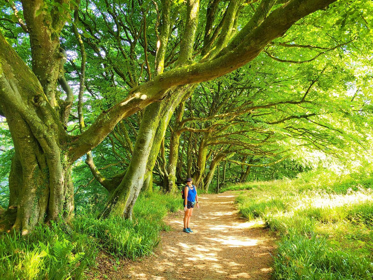 Did you get out walking this weekend? 

Share your shots with us in the comments!

📸: This lovely shot was shared by Marsha from a walk in north Devon.