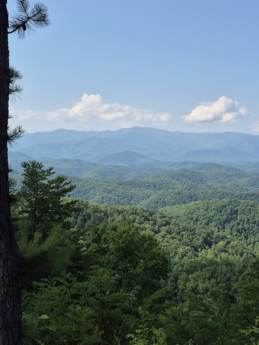 cdsansing's tweet photo. @spann A beautiful day on the Great Smoky Mountains Foothills Parkway. https://t.co/Q0uZfMjw27