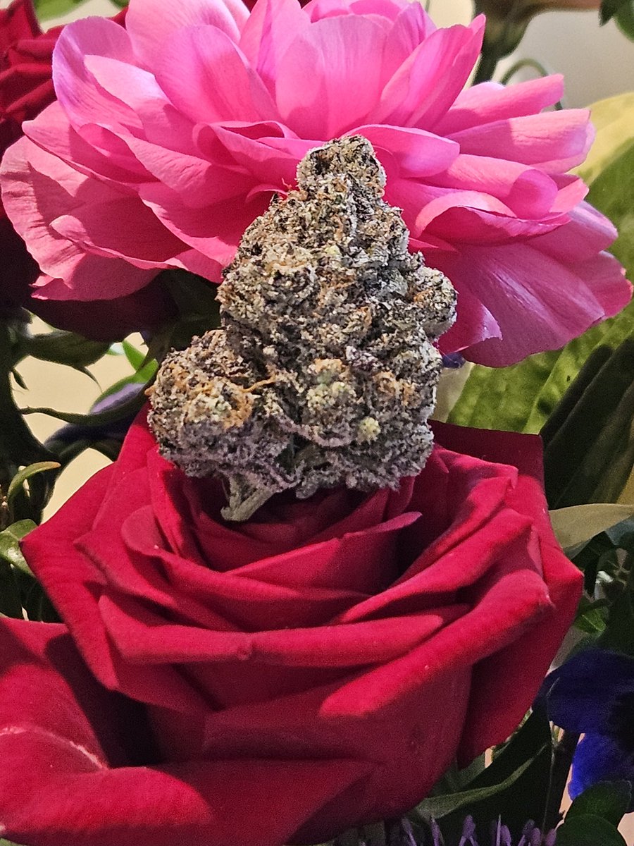 Girlies love it when you send flowers 💕🌿