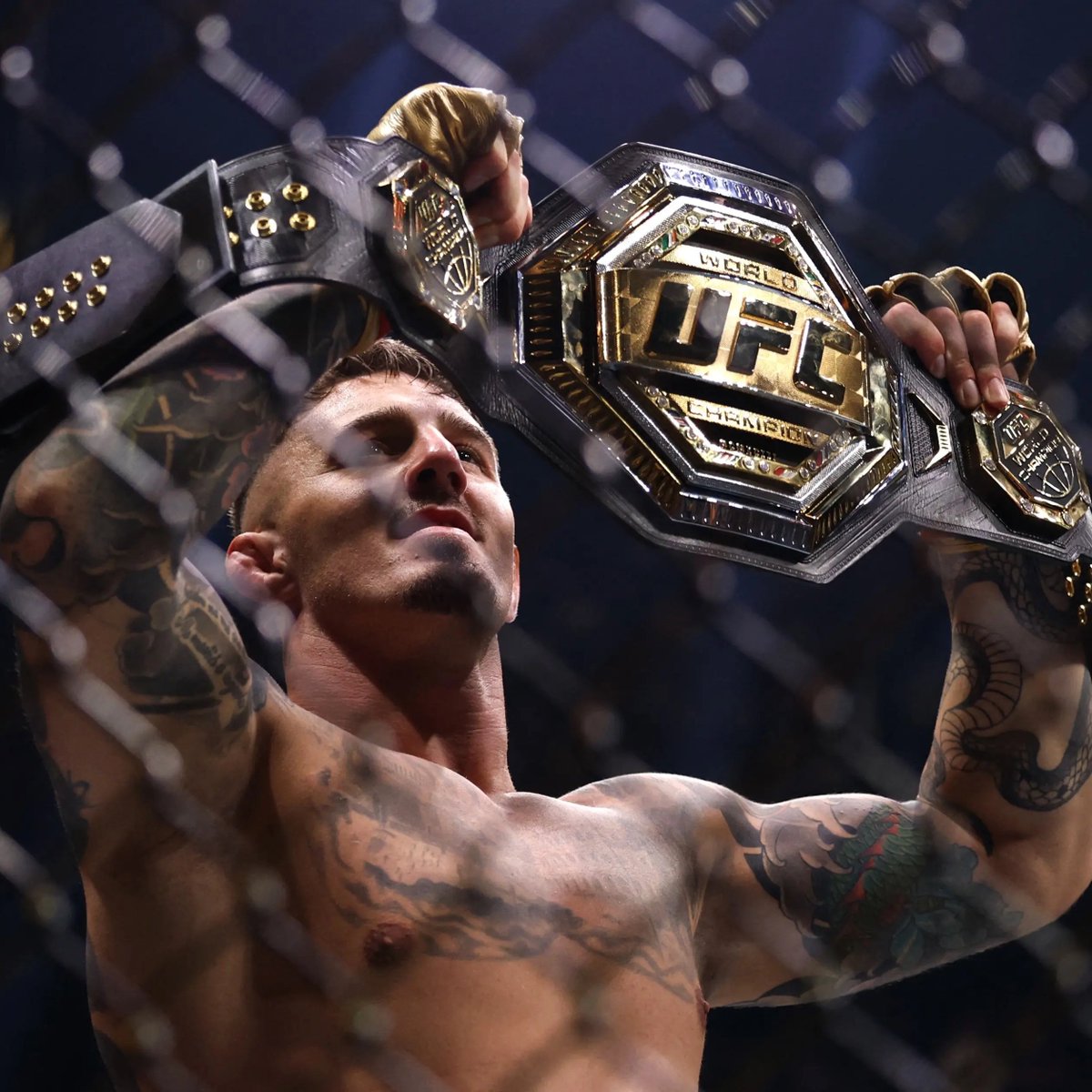 MMA Orbit tweet media
