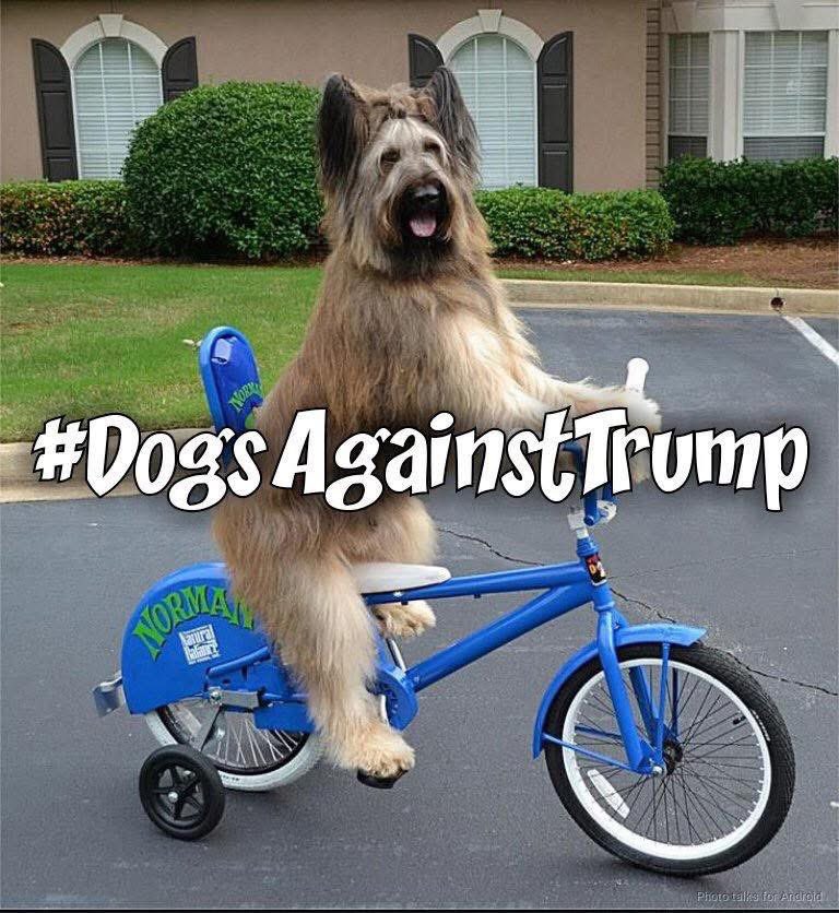 jeff_ostach's tweet photo. @Resisting313392 Yes! And I’m proud to announce that during the July 4th holiday protests across America, #DogsAgainstTrump will be side-by-side with the millions of peaceful protestors who will display their solidarity against Donald Trump. These canines will bark their disapproval of him! 🐕🐩 https://t.co/HiXely7Kui