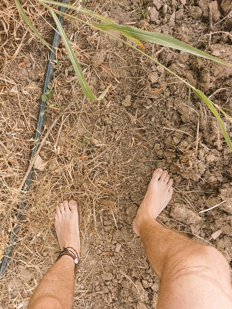 If they'd told me I'd finish walking barefoot in the south spanish countryside... I wouldn't have believed it! 

#barefoot