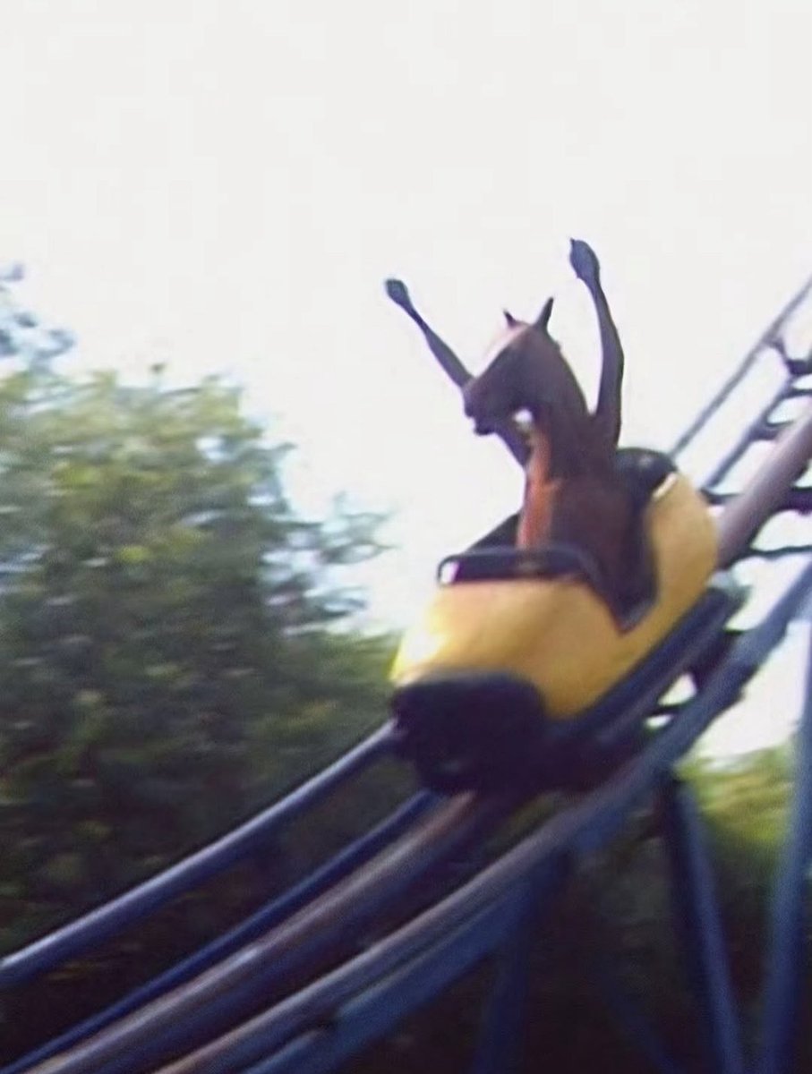 Fiiera🇧🇷🇪🇸 tweet media