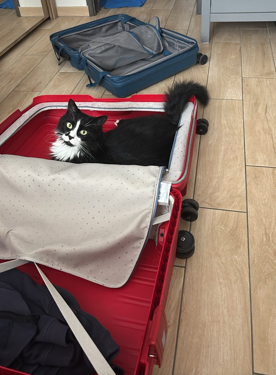 « Comme ça je suis sûr que vous ne partirez pas sans moi »