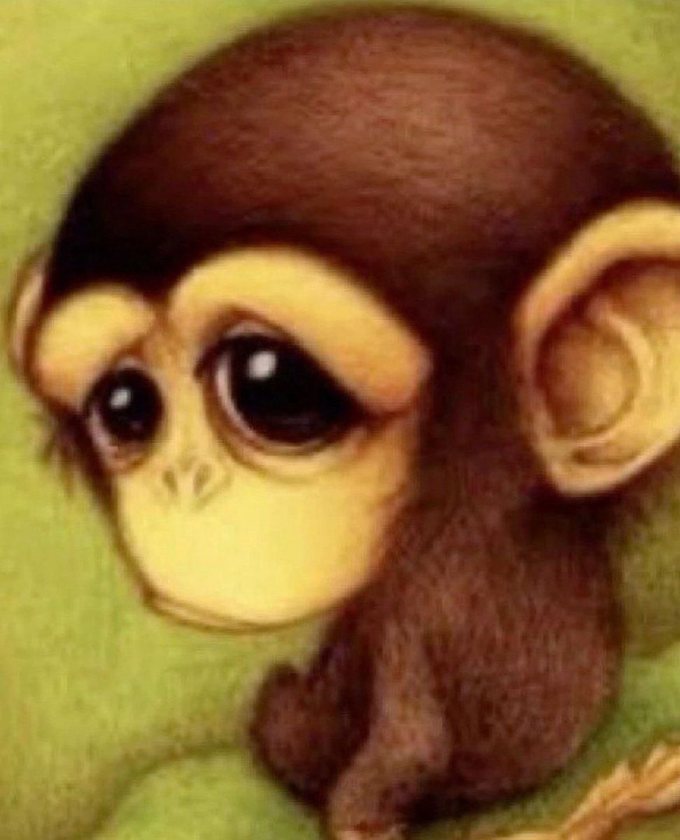 circus cleanup crew tweet media