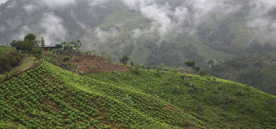 TracTerrorism's tweet image. Civilian Residents Suspected of Links with EMC/FARC Paramilitaries #Kidnap 57 Professional Soldiers in the #Micay Canyon Area, #Cauca Department, #Colombia 
Read more: trackingterrorism.org/chatter/reside…