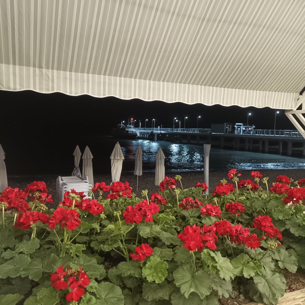 Это какой-то сюр, но здесь не ловит интернет вообще... Вот по возможности даю вам знать, что у меня все норм🥂