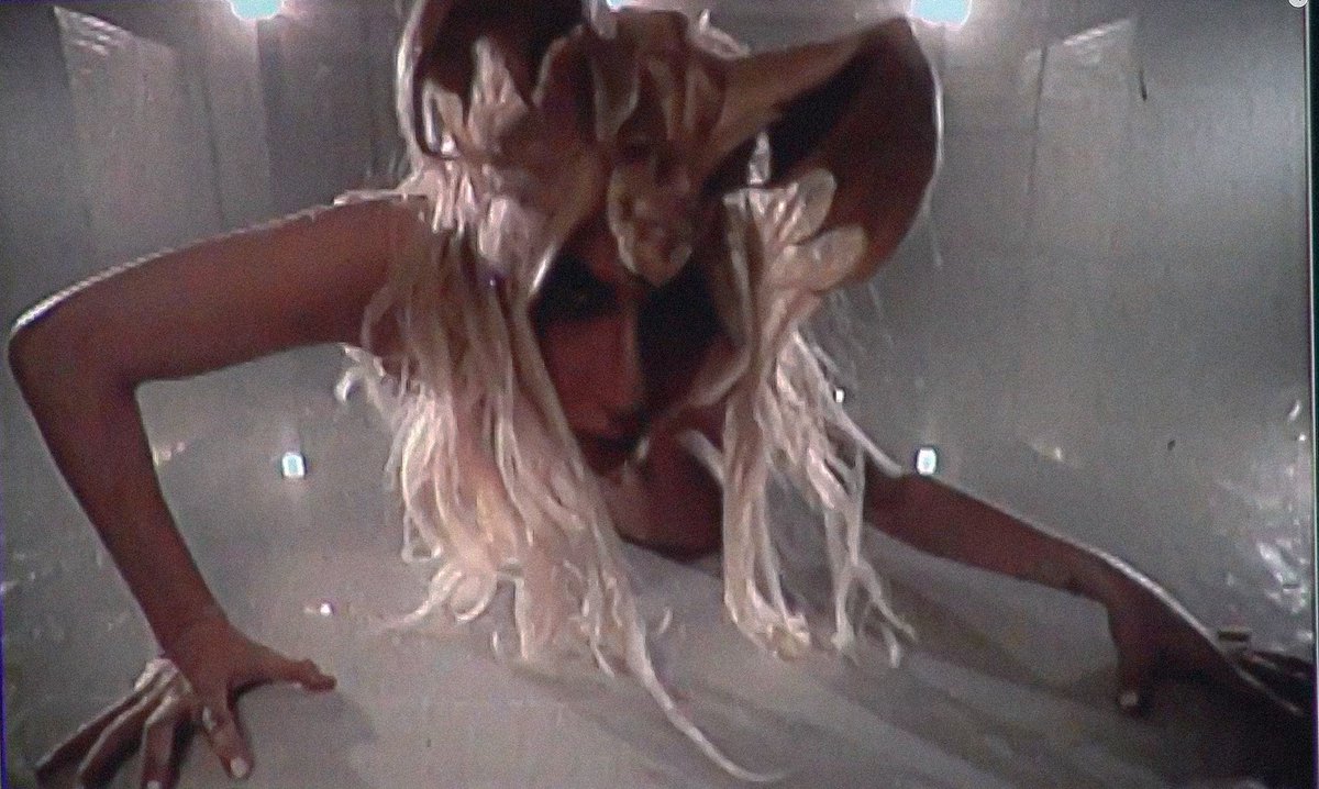 HausOfBitchs's tweet photo. https://t.co/a4EHZ3OWOe