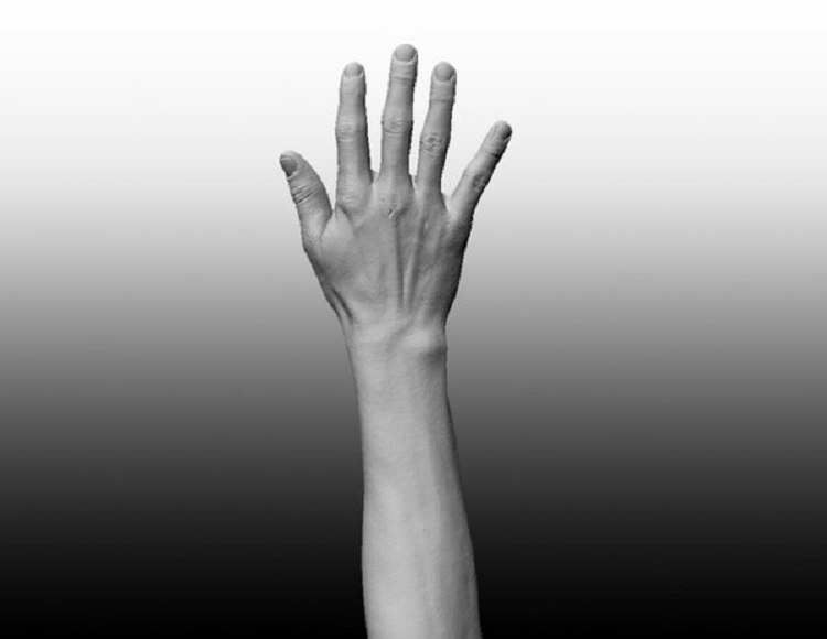 3DServices1's tweet photo. Пример #3Dсканирования руки человека.
#3Дсканирование позволяет быстро и точно создавать цифровые копии тела, открывая новые возможности в медицине, спорте, моде, искусстве и VR. Преимущества: погрешность менее 1 мм, скорость от нескольких секунд до минут, подходит для любых сфер https://t.co/v7NWdB2wSi