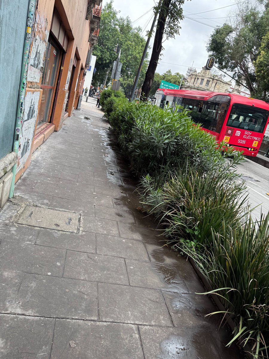 PokeshopMexico's tweet photo. @mariiongr @pcacuauhtemoc @AlcCuauhtemocMx
Hola, hace unas semanas denuncie la  falta de atención sobre las personas en situación de calle y sus excrementos en vía pública, no se han podado, limpiado ni puesto iluminación, es diario ver heces fecales. https://t.co/0PwIqPmNUt