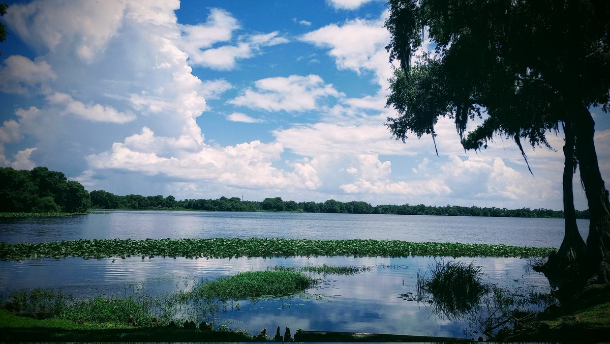 HauntFreak11's tweet image. Monday views

- #OutForAWalk #EnjoyingLife #CherishingTheMoment