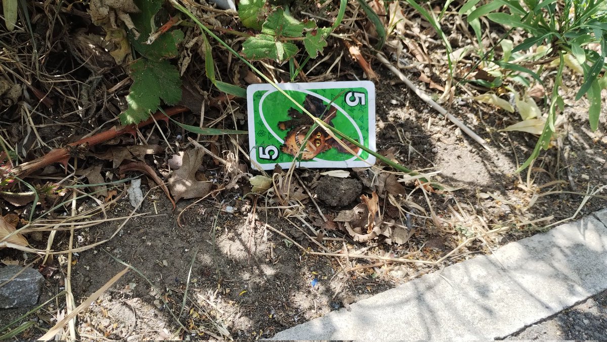 I see #McDonald's are releasing UNO #litter again. Why is it ok to incentivise #junkfood, with advertising aimed at #children, in a way that causes mass #littering, yet disposable vapes were banned on a very similar premise? #bellgreen #se26 #sydenham #bellingham