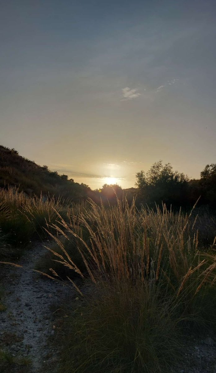 #ElUltimoQueApagueLaLuz
#AdoptaUnMurciano