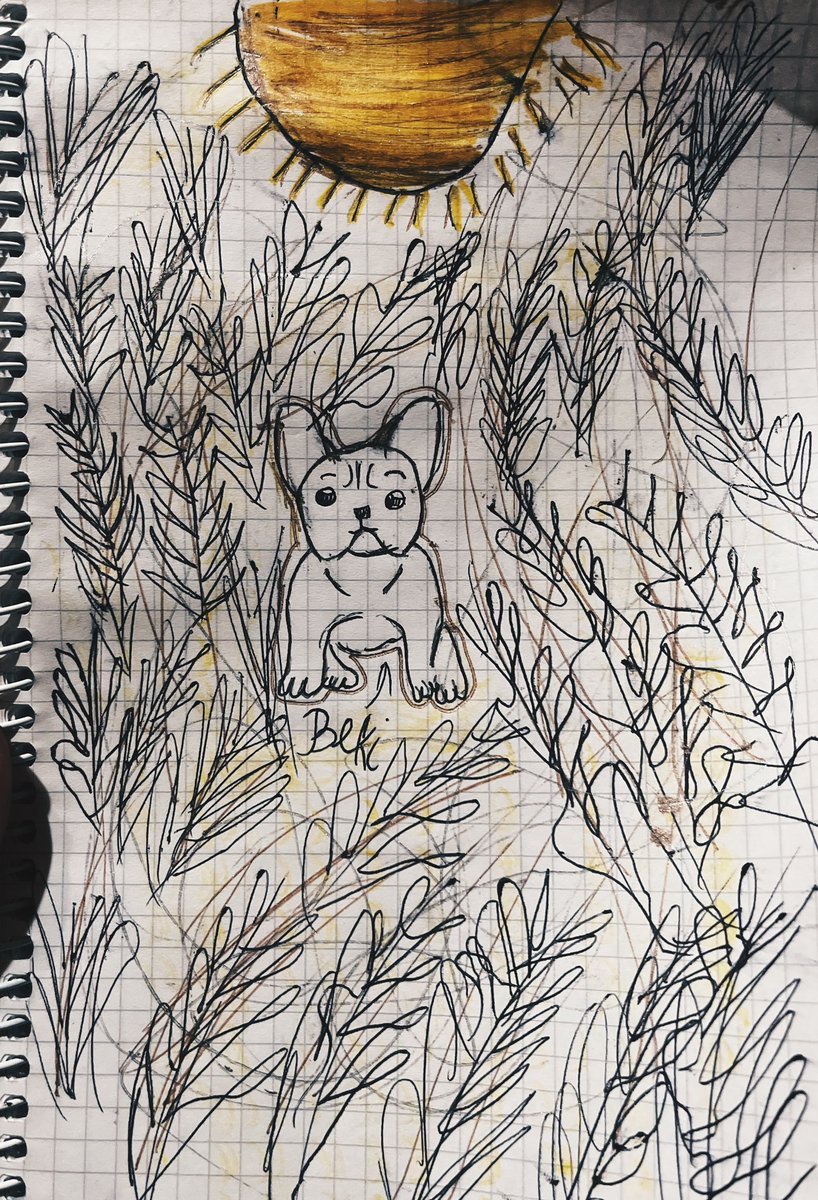 боже, ви тільки гляньте, це мені племінниця намалювала собакевича у пшениці🥹