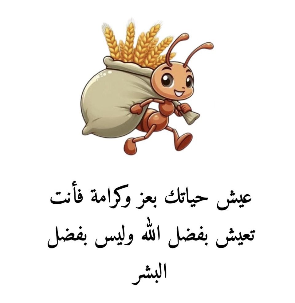 ✨مجرد حلم 💞 (@xa50dn) on Twitter photo 